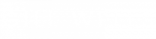 logo light